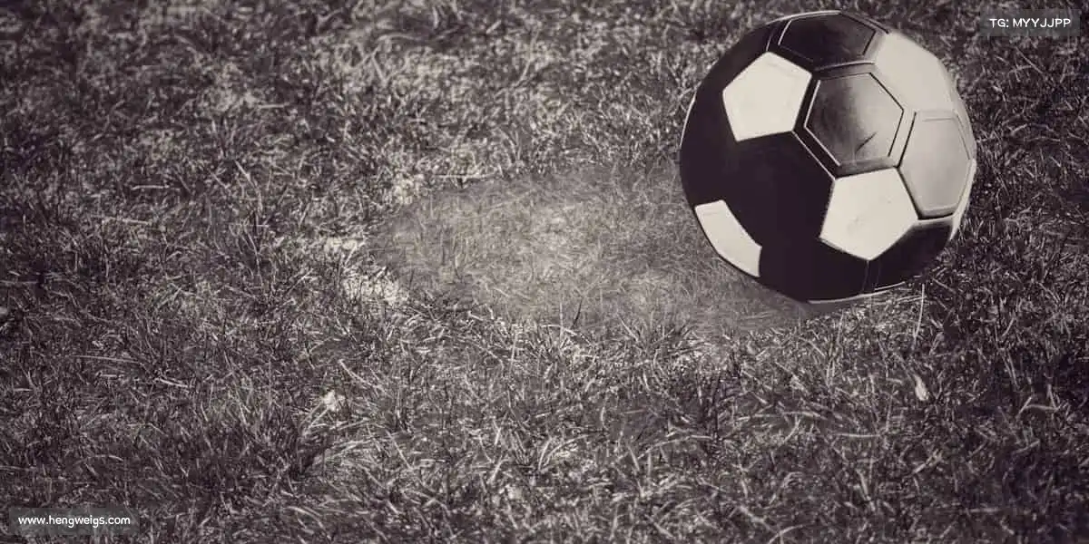 行业领先的理由